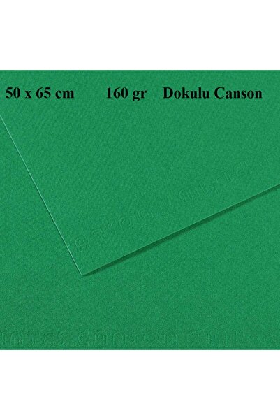 Canson DOKULU FON KARTONU 50x65 cm 160gr 575 VERT BİLLARD (yeşil) 1 ADET