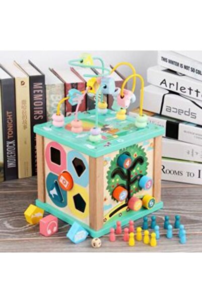 PlayFun Cuburi Lemn Cutie Educativă