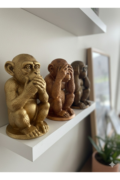 İki Cadı Tasarım Üç Maymun Biblosu