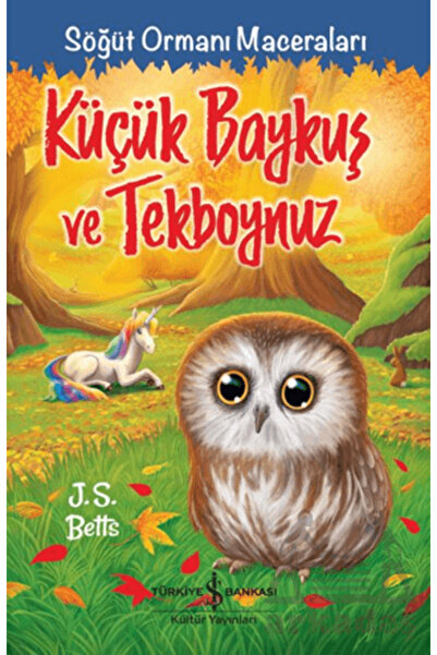 TÜRKİYE İŞ BANKASI KÜLTÜR YAYINLARI Küçük Baykuş Ve Tekboynuz – Söğüt Ormanı ...