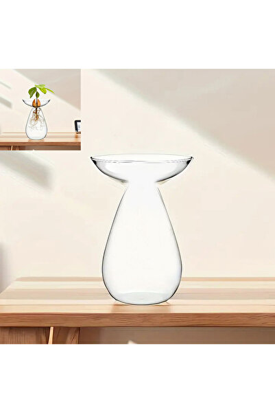 Choice3 A6 Colorful Transparent Avado ponic Vase Glass Avado Seed Starter Vas...