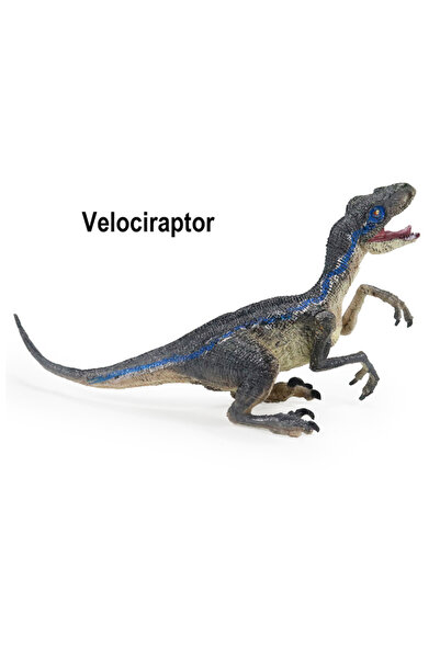 Choice1 مجموعة مجسمات ديناصورات فيلوسيرابتور من 6 إلى 13 بوصة، ألعاب تعليمية ...