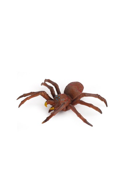 Choice OneSize D Simulation Animals Insect Solid Model Tarantula Black Spider...