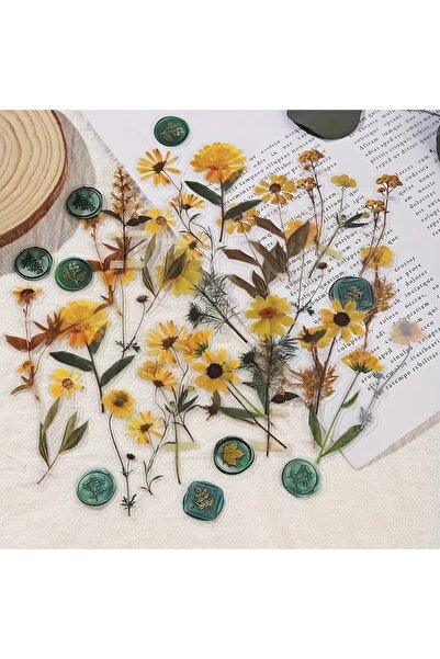 Choice1 C JIANQI 40 pcs Dried Flower Collection Record PET Stickers Decorativ...
