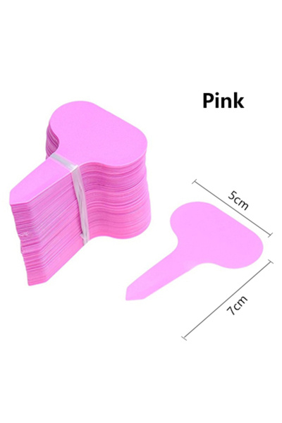 Choice6 100 قطعة من ملصقات الحدائق الوردية، 100 قطعة من ملصقات تصنيف النباتات...