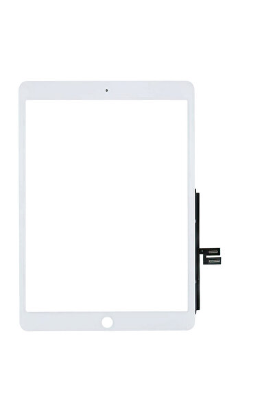 OEM iPad 8 (2020) Digitizer Touch Glass + Adhesive