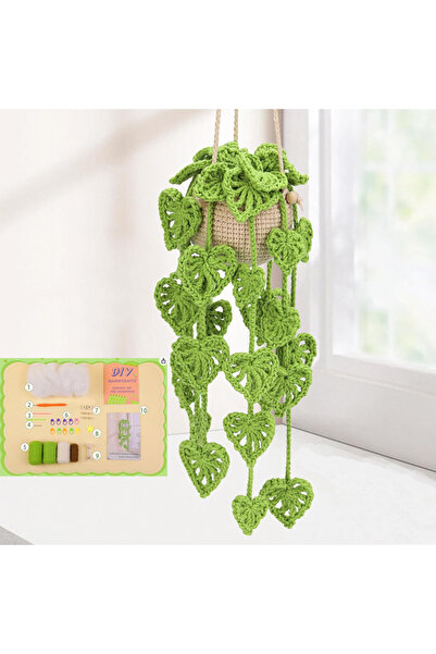 Choice6 مجموعة أدوات زراعة نباتات ورقية مزروعة في أصيص، النوع 6 Zxiixz، مجموع...