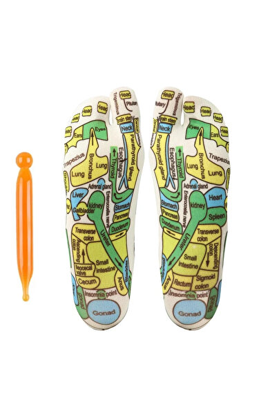 Choice12 جوارب نسائية، طقم واحد، تدليك القدمين بتقنية الضغط الإبري لتخفيف تعب...