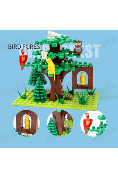 Choice6 طيور، غابة، مدينة، مزرعة، حيوانات، مبنى، كتل، طبيعة، حيوانات، سمك، ثع...