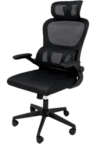 Biki Ergonomic mesh office chair with headrest