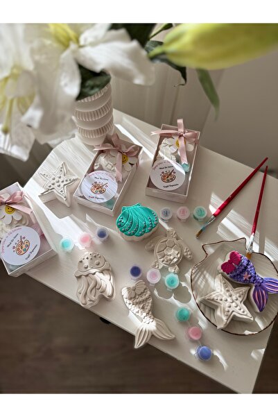 jeliii.co Taş Boyama Seti