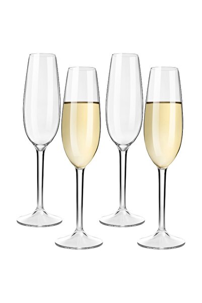 Choice3 مجموعة أكواب الشمبانيا غير القابلة للكسر من ميشلي، 4 قطع، 2/4 قطع، كأ...