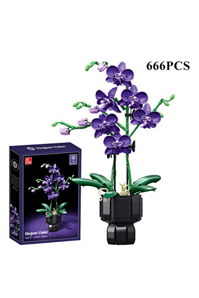 Choice5 666 قطعة مع صندوق، مجموعة بناء نباتات الأوركيد سيمبيديوم الإبداعية، ز...
