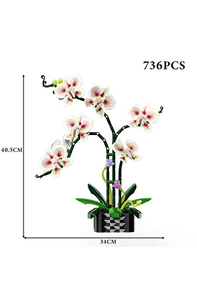 Choice1 736 قطعة بدون صندوق، مجموعة بناء نباتات أوركيد سيمبيديوم إبداعية، زهو...