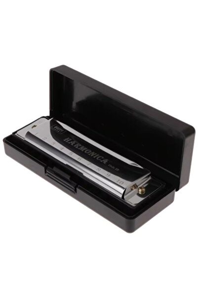 choice2 Silver Harmonica Key of C 10 Hole Diatonic Harmonica C with Case for ...