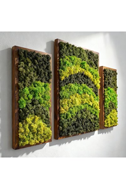 PALPABLEARTSHOP Canlı Bitki Dalga Dansı Tablo Seti