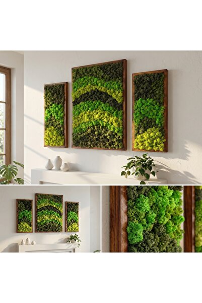 Palpamoss Dalga Dansı – 3’Lü Reindeer Moss Tablo Seti