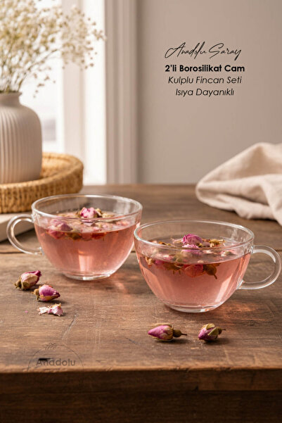 Anadolu Saray 2’li Borosilikat Cam Kulplu Fincan Seti Isıya Dayanıklı Şeffaf ...