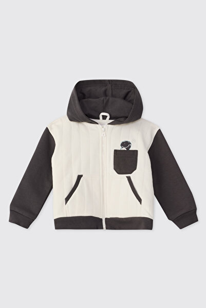 Panço Erkek Bebek Dinozor Baskılı Antrasit Sweatshirt