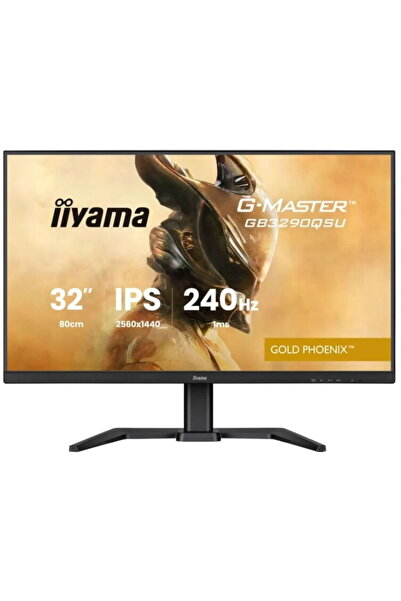 IIYAMA Monitor GB3290QSU-B1 de 80,0 cm (31,5")
