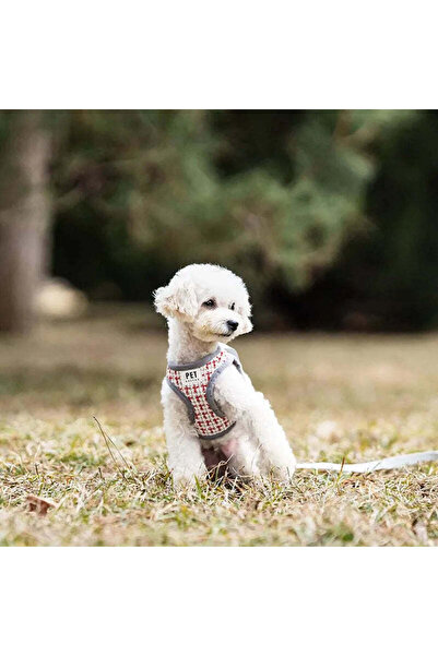 Petora Ham reglabil cu lesă pentru câini, roșu, HC1033 - M