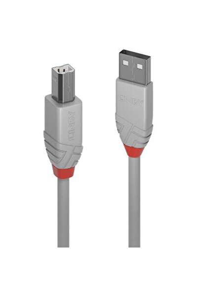 LİNDY Cablu USB 2.0 tip A la tip B de 2 m