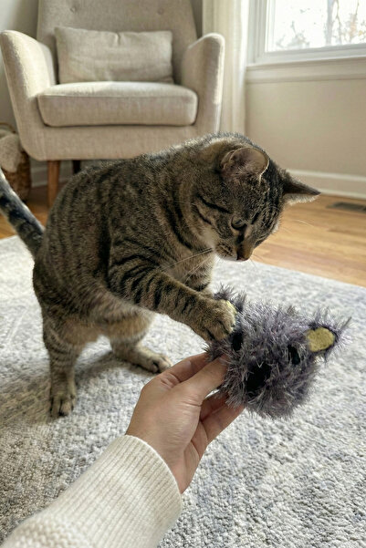 MALLY PET PROFESSIONEL PET CARE Koala El Yapımı Sesli Kedi ve Köpek Oyuncağı