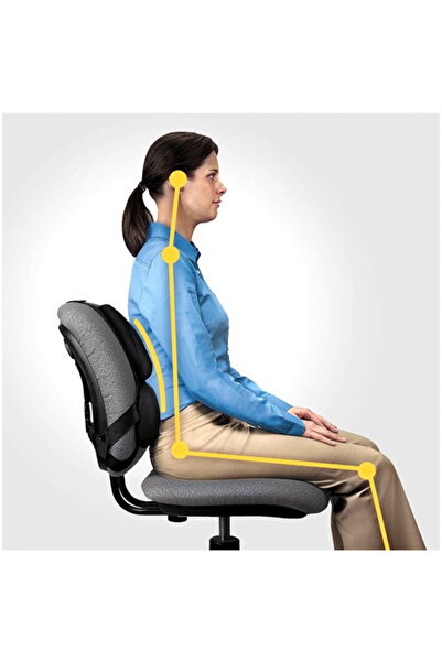 Fellowes Pernă ergonomică profesională pentru susținerea spatelui