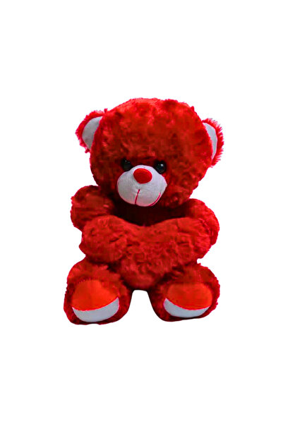 OEM Valentine's Day Teddy Plush 30cm – Red Romantic Gift