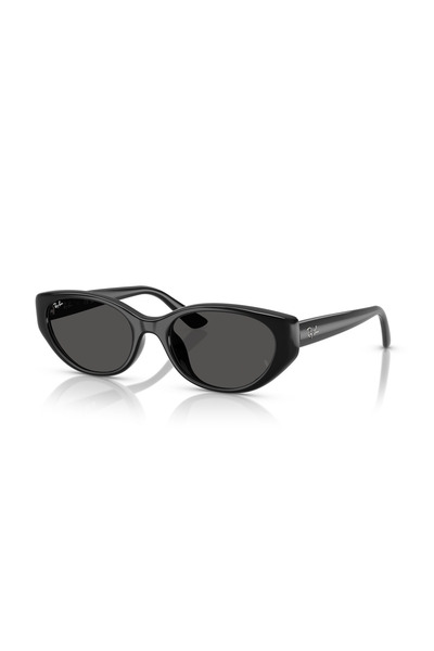 Ray-Ban RB4457D 667787 55 Unisex Güneş Gözlüğü