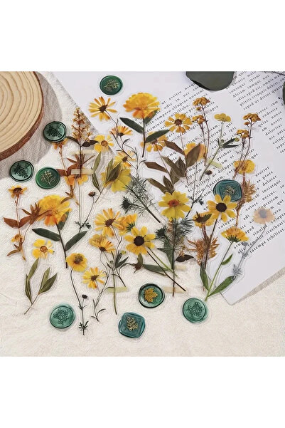 Choice3 C Journamm 40 pcs Flower Collection Record PET Stickers Decorative ha...