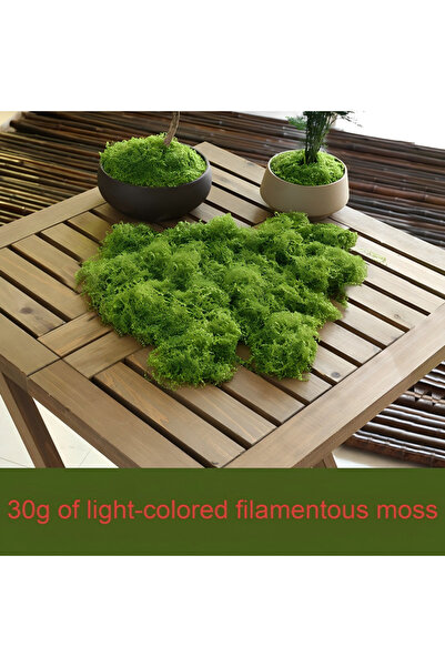 choice2 طحلب أخضر فاتح 30 جرام 30/50/100 جرام نباتات خضراء صناعية عشب الطحلب ...