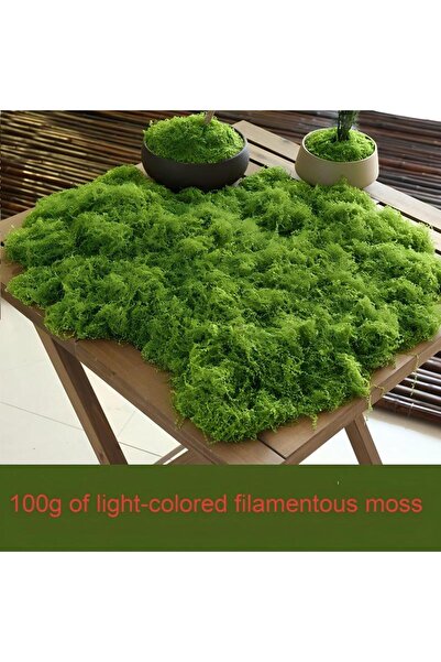 Choice طحلب أخضر فاتح 100 جرام 30/50/100 جرام نباتات خضراء صناعية طحلب عشب دي...