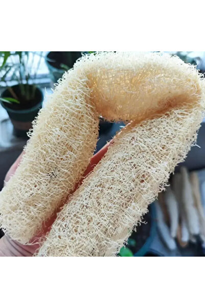 Choice1 قطعة واحدة أو نصف قطعة من ليفة الاستحمام الطبيعية متعددة الأغراض، أدا...