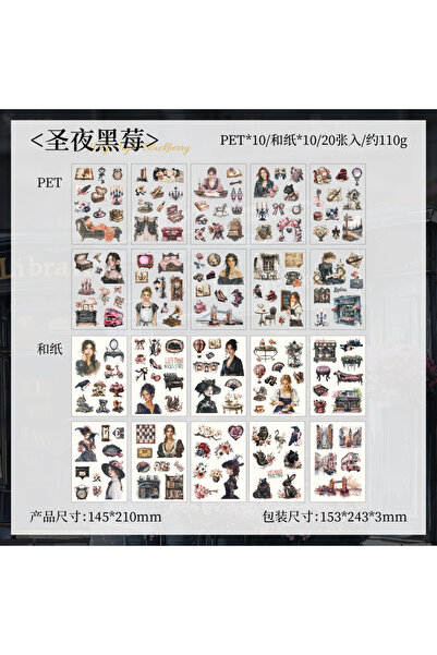 Choice3 F JIANQI 20 Sheets PET Die cut Stickers book Girl's Handbook Decorati...