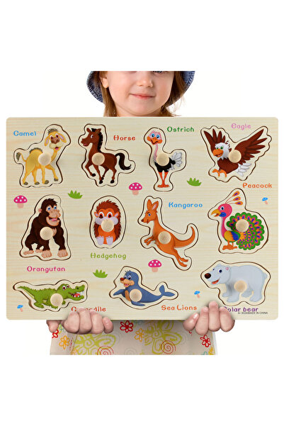 choice2 A3024 ألغاز خشبية مونتيسوري، لوحات إمساك يدوية، ألعاب تانجرام، أحجية ...