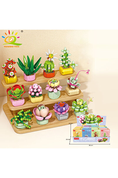 Choice4 مع الصندوق رقم 38، نموذج بناء نباتات عصارية مزروعة في أصيص من هويكيبا...