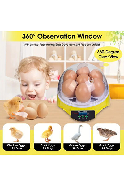 Choice1 حاضنة بيض صغيرة أوتوماتيكية للاستخدام المنزلي، مزودة بقابس أوروبي، تح...