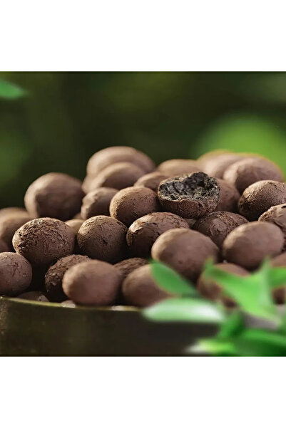 Choice كرات طينية بنية اللون، ٥٠٠ غرام/عبوة، حصى طينية للنباتات، حصى طينية لل...