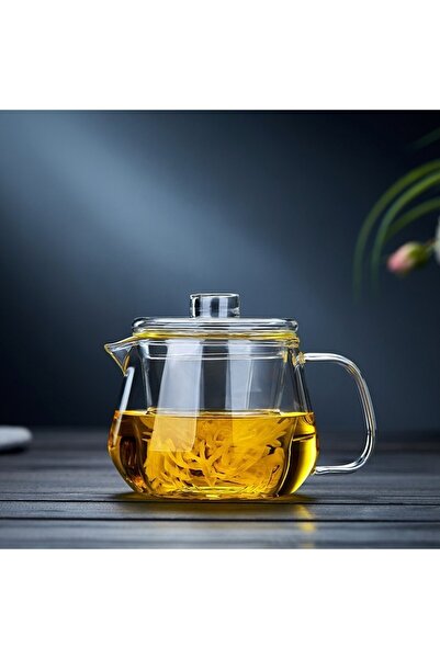 Choice1 480ml clear Glass Teapot With Infuser Borosilicate Glass Tea Kettle W...