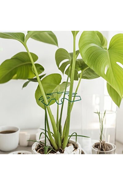 Choice Green Plant Stem Support Durable Mtera Stabilizer Metal Climbing Plant...
