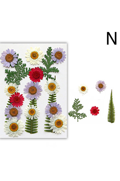 Choice9 زهور مجففة طبيعية حقيقية، زهور مضغوطة لحشو راتنج الإيبوكسي، فن الأظاف...