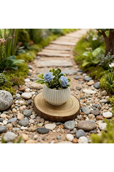 Choice نبتة ورد مصغرة زرقاء اللون، قطعة واحدة، نباتات مزروعة في أصيص، نباتات ...