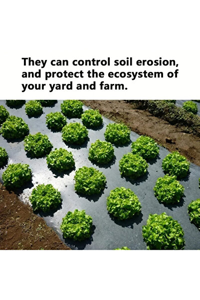 Choice1 غطاء بلاستيكي أسود عالي الجودة، مقاس 135 سم × 1000 سم، مثالي لزراعة ا...