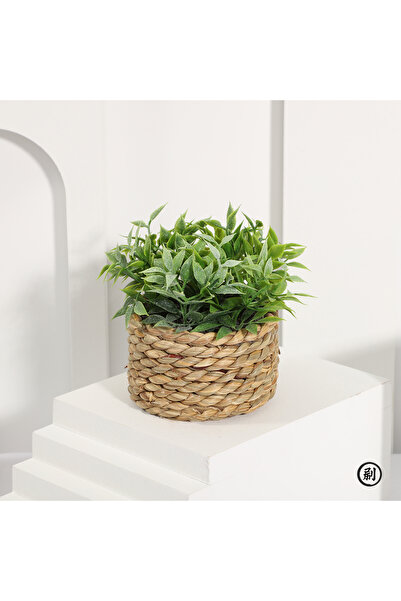 Choice 10-11cm Plant 01 XIYA FLOWER Green Artificial Plants Eucalyptus Grass ...