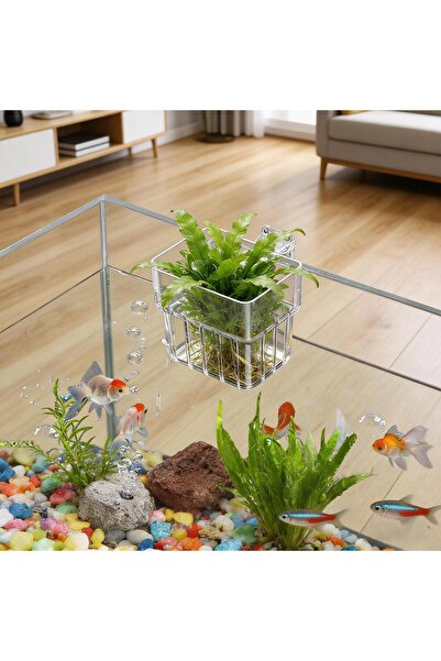 Choice حامل نباتات حوض السمك، وعاء معلق شفاف، قطعة واحدة، لزراعة النباتات الم...