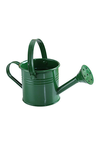 Choice green New Metal Watering Can Garden Flower Kettle Mini Small Water Spr...