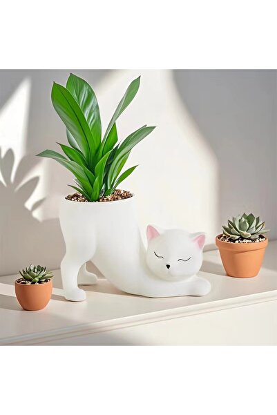 Choice وعاء زهور متوسط ​​الحجم بتصميم ذيل قطة كرتونية لطيفة (Tj001-23) - مثال...