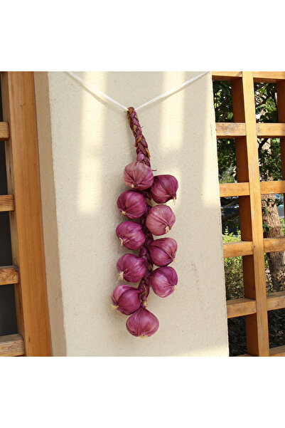 Choice ثوم أرجواني صناعي، فاكهة زينة مزيفة، طبق رغوي واقعي، بصل، ثوم، ذرة، فل...