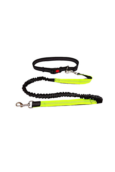 Choice Green Hand Free Dog Leash for Pet Walking Running Jogging Adjustable D...